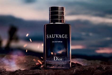 dior sauvage edt 40ml|dior sauvage best price.